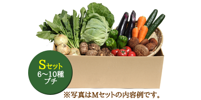 【定期便/月曜出荷】Sサイズ(月1回コース)