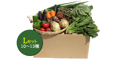 【定期便/月曜出荷】Lサイズ(月1回コース)