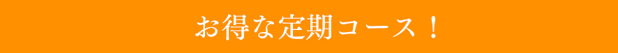 【オプション】季節の果物